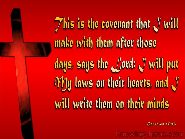 Hebrews 10:16 My Laws In Their Heart (red)